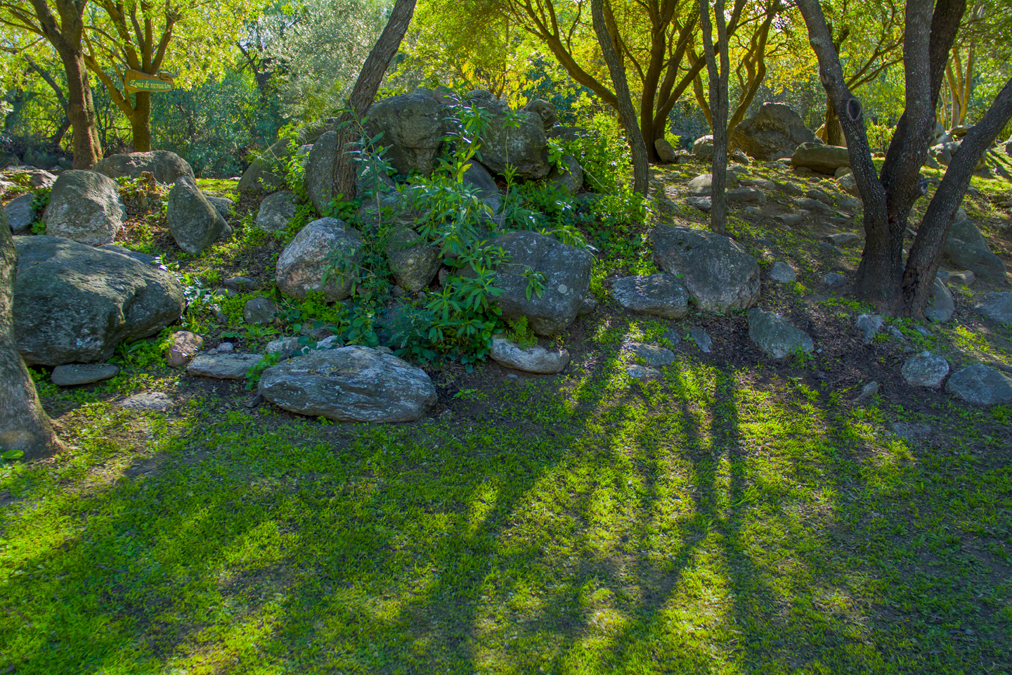 Parque